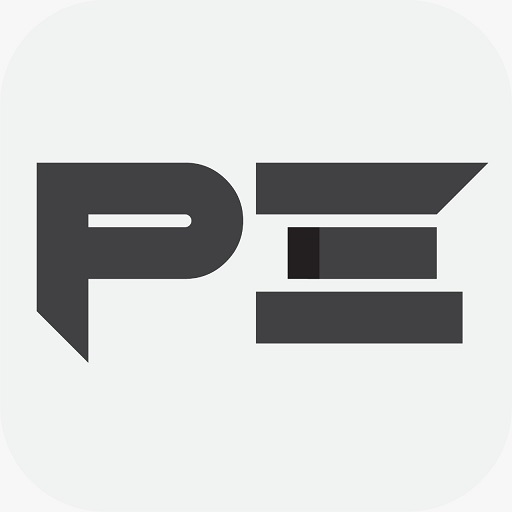 Pinidiya Enterprises logo
