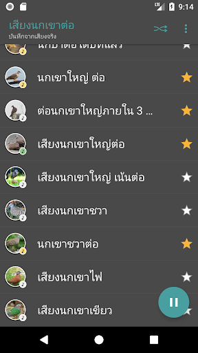 Appp.io - Spotted dove sounds Screen 2