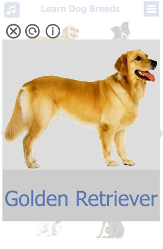 Dog Breeds - Pics and Info Screen 2
