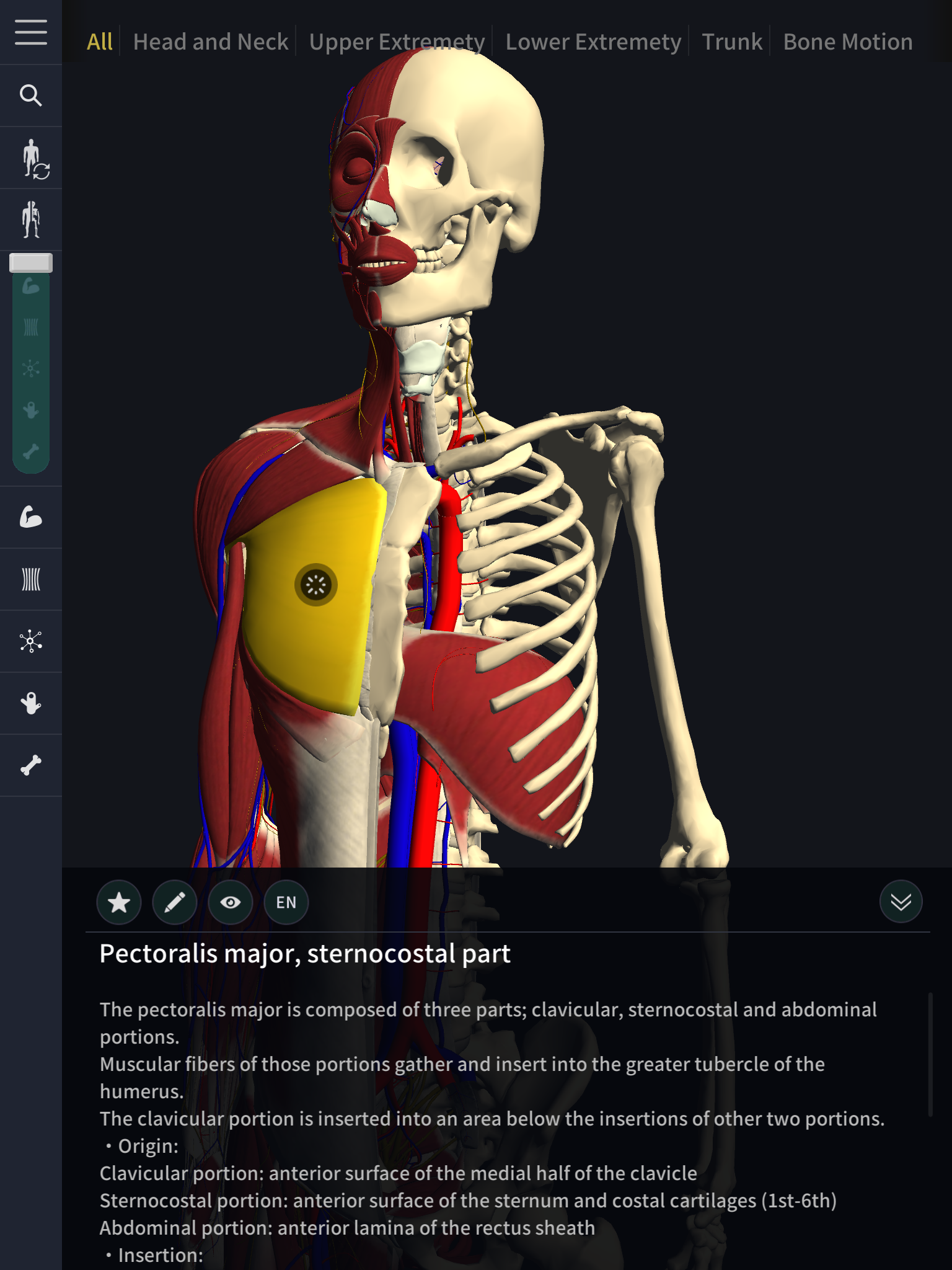 Android application 3D motion anatomy teamLabBody screenshort