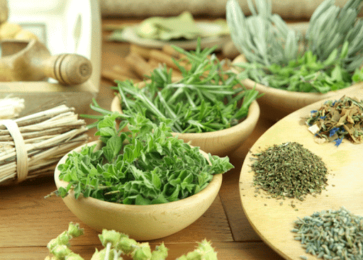 Plantas Medicinales Medicina Natural