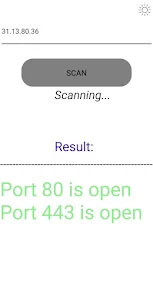 Port Network scanner