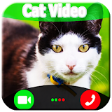 Video Call From Cat icon
