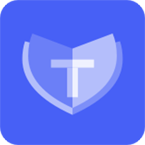TFace logo