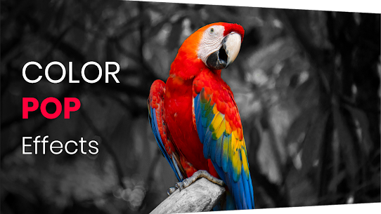 Color Pop effects photo editor v4.0 Apk (VIP Pro Unlocked/All) Free For Android 1