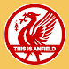 This Is Anfield Plus