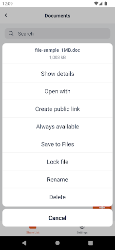 RushFiles Screen 3