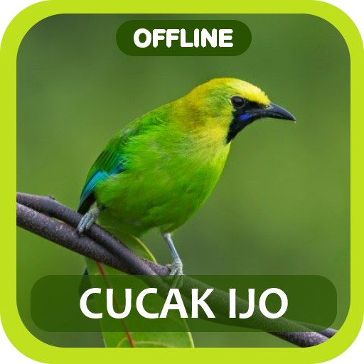 Masteran Cucak Ijo Full Isian logo