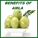 Amla Benefits icon