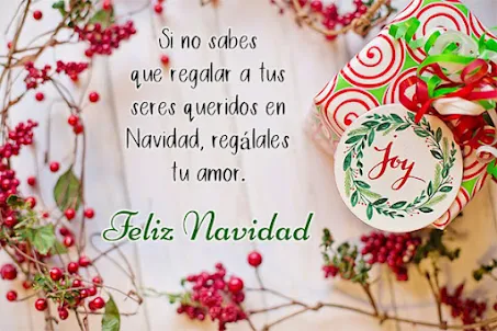 Feliz Navidad 2023, Frases