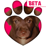 TREAT: Play & impact REAL dogs icon