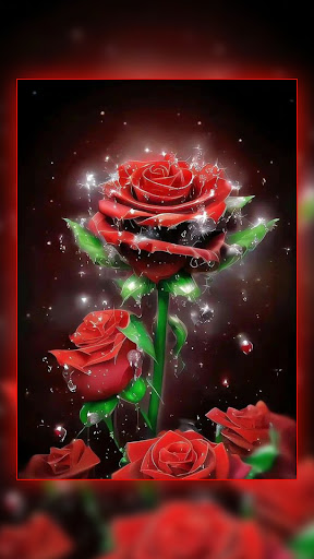 Android application Red Rose Wallpaper screenshort