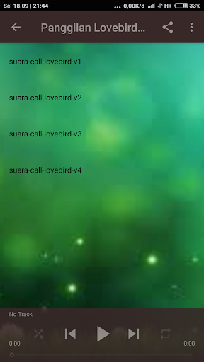 Lovebird Ngekek Ngatrol OFFLINE