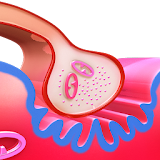 Neuromuscular Junction 3D icon