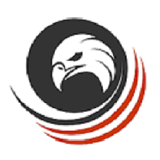 Shaheen Forces Academy logo