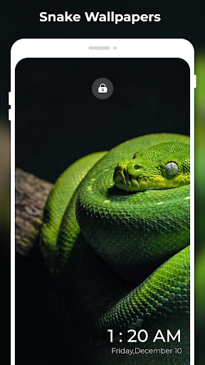 SerpentArt Snake Wallpapers