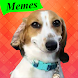 Animated Stickers Dog Cat Meme