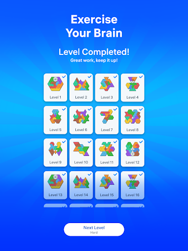 Triangle Tangram: Block Puzzle screenshot 14