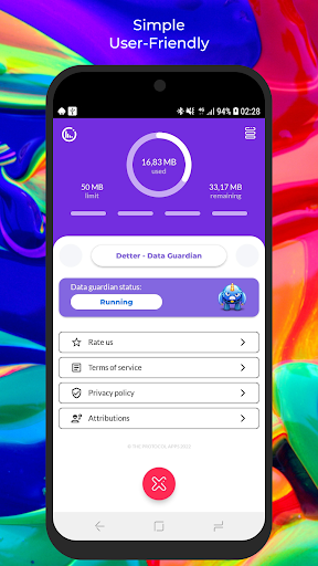 Detter Data Usage: Real-Time Screen 2