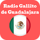 radio gallito de guadalajara 760 am Изтегляне на Windows