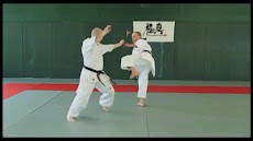 Kyokushin - FREEのおすすめ画像5