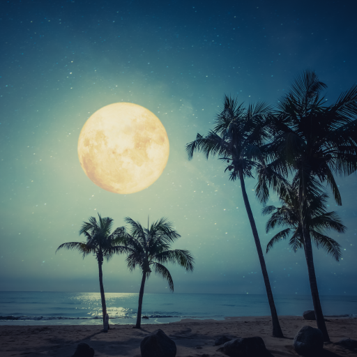 Beach Sounds For Sleep & Relax logo