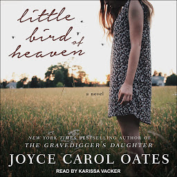 Icon image Little Bird of Heaven: A Novel