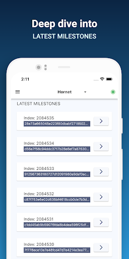 IOTA Node Manager Screen 3