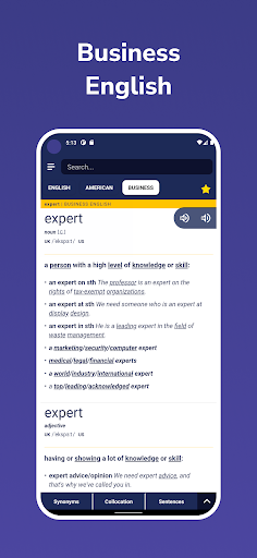 Prodict - English Dictionary Screen 3