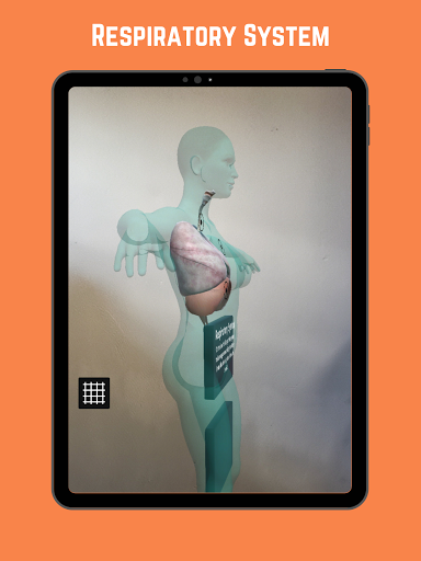 Explore the complete human anatomy with Sisanda