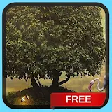 Island Tree Live Wallpaper icon