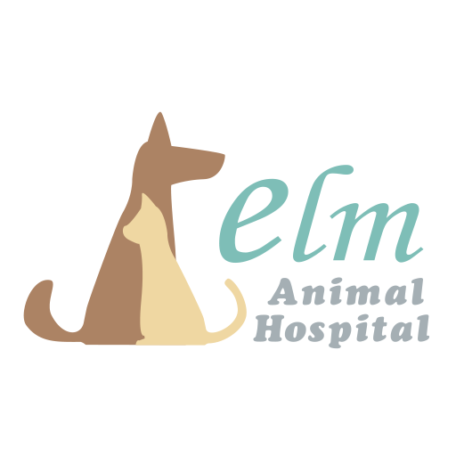 Elm エルム 動物病院 التطبيقات على Google Play