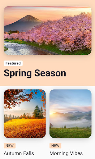 Android application Cottagecore: Aesthetic Videos screenshort