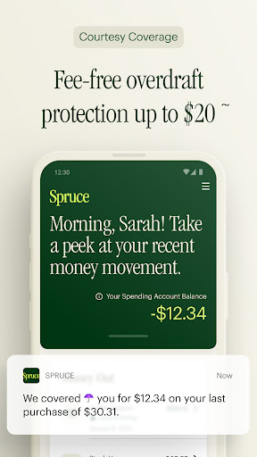 Spruce - Mobile banking 5