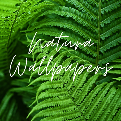 Natura Wallpapers  4K