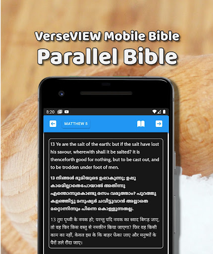 VerseVIEW Mobile Bible 2 Screen 3