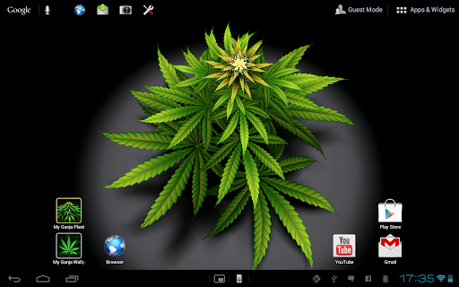 My Ganja Plant Live Wallpaper