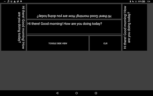 Type180 - Mirrored Text NotePa Screen 2