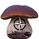 The Mushroom Navigator AI - Androidアプリ