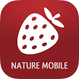 Wild Berries and Herbs 2 PRO icon