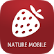 Wild Berries and Herbs 2 PRO - Androidアプリ