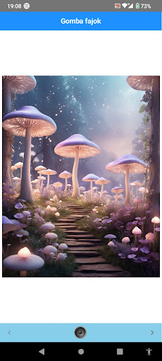 Android application Gomba fajok screenshort