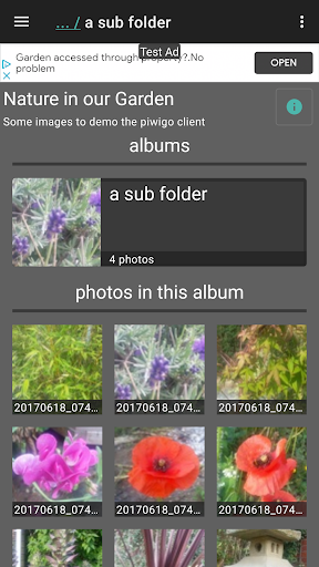 Android application Piwigo Client - Basic screenshort