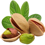 Healthiest Nuts to Eat