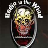 Radio In The Wind icon