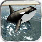 Orca Whale Simulator 3D icon