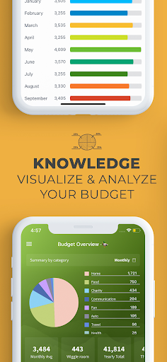 Screenshot of 4Ducks: Budget & Bill tracker