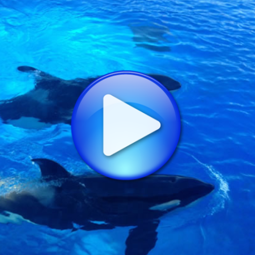 Whales songs to sleep 1.4 Icon