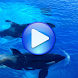 眠りにクジラの歌 - Androidアプリ