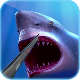 Fish Hunting Adventure - 3D Shark shooting icon